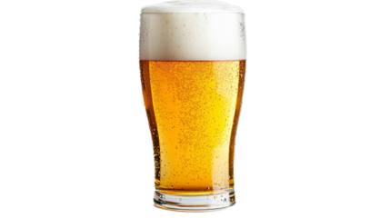 Tulip pint glass of fresh golden-colored beer with cap of foam isolated on white background