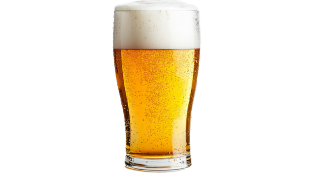 Tulip pint glass of fresh golden-colored beer with cap of foam isolated on white background