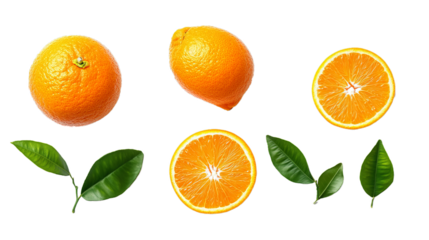 Whole, cross section and quarter of fresh organic navel orange with leaves in perfect shape on white isolated background, clipping path. Orange have vitamin c