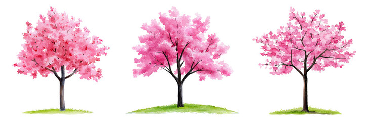 Pink Blossom Trees Isolated on Transparent Background