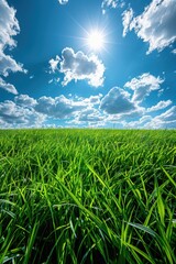 Obraz premium Grassy field with sun shining through the clouds, nature background