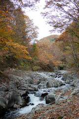 Obraz premium 中津川渓谷_福島県（10月）