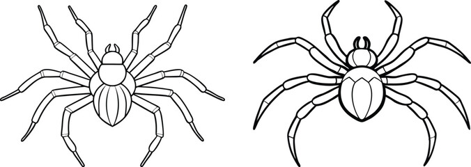 Spider Animal flat vector illustration on white background. 