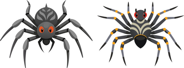 Spider Animal flat vector illustration on white background. 