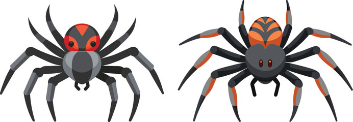 Spider Animal flat vector illustration on white background. 