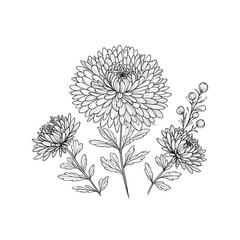 bouquet of flowers grisontema. vector illustration  in one line