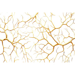 Gold veins isolated on a white background, png transparent