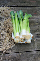 digging up leeks in organic farming