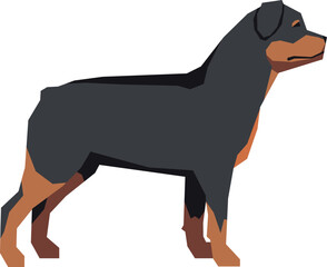 Rottweiler dog side view. Purebred color icon