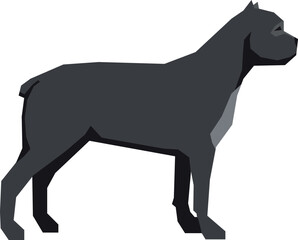 Cane corso color icon. Dog breed illustration