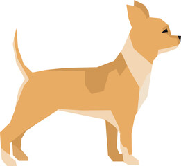 Chihuahua breed icon. Color dog side view