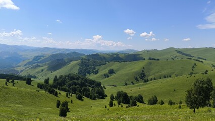 Beautiful nature. Altai Mountains.