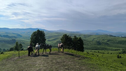 Beautiful nature. Altai Mountains.