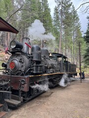 old train
