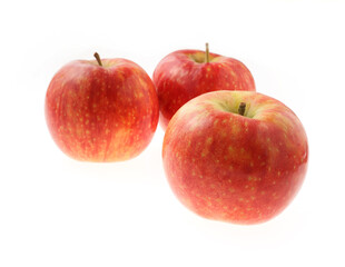 林檎　　シナノリップ　　白バック