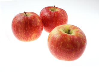 林檎　　シナノリップ　　白バック