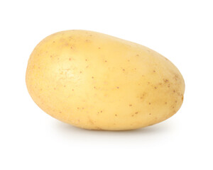 One young fresh potato isolated on white