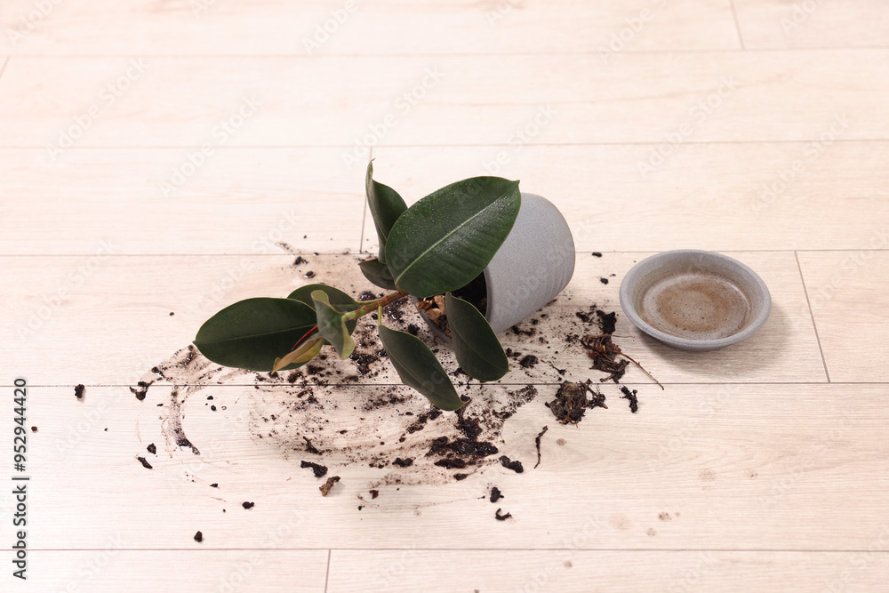 Sticker Overturned houseplant and dirt on wooden floor