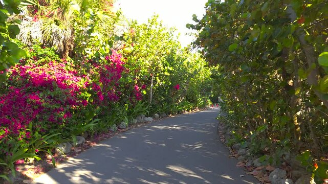 Driving on scenic road in sunny Florida. Casey Key coastal residential community picturesque streets.