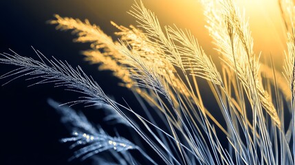 Medical Themed Dew Laden Pastoral Landscape with Glistening Blades of Grass in Morning Sunlight