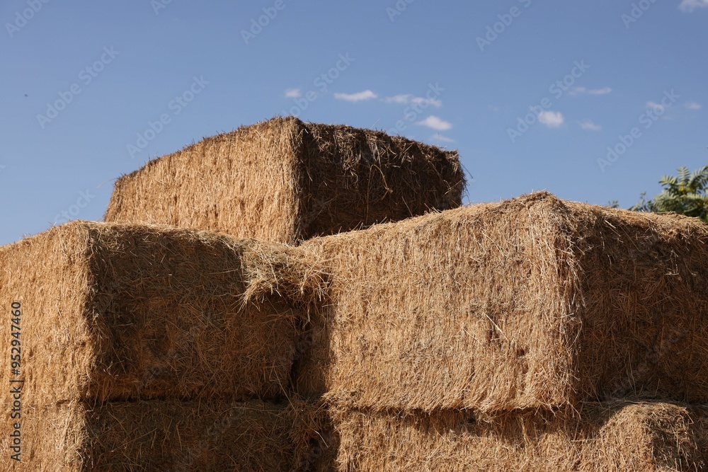 Poster bales of hay outdoors on sunny day, closeup