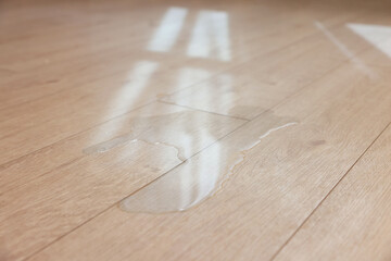Puddle of liquid on wooden floor indoors, closeup