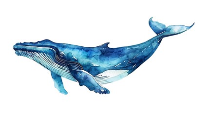 A watercolor illustration of a whale, showcasing its graceful form and vibrant blue hues.