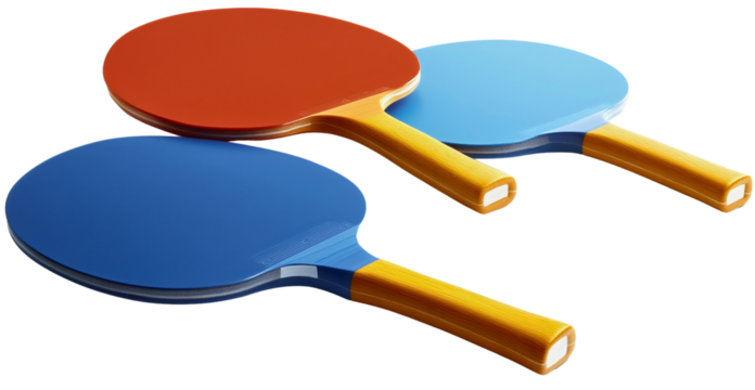 Isolated ping pong racket in blue and red rubber with wooden handle, table tennis sport equipment for game and competition, leisure activity, match for hobby or fitness in competitive tournament