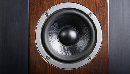 The speakers are built into the wooden cabinets and are used with the sound system.
