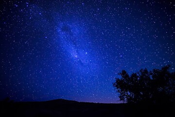 Fototapeta premium A stunning natural spectacle, often seen in remote areas with minimal light pollution, where countless stars create a breathtaking celestial display against the deep blue night sky, ai