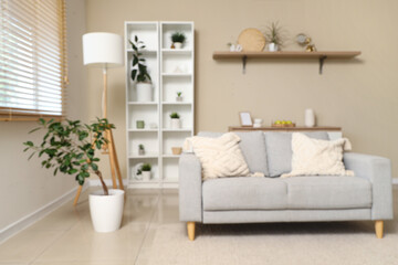 Interior of modern stylish living room with grey sofa and shelving unit, blurred view