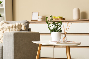Houseplant and diffuser on coffee table in stylish living room