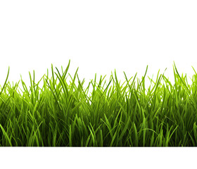 Green grass frame isolated on transparent background
