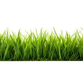 Green grass frame isolated on transparent background