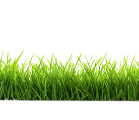Green grass frame isolated on transparent background