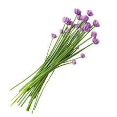 Fototapeta premium Chives object isolated on transparent png.