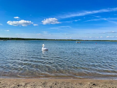 Cisne inflable de pl&aacute;stico navegando sobre lago sin gente. 