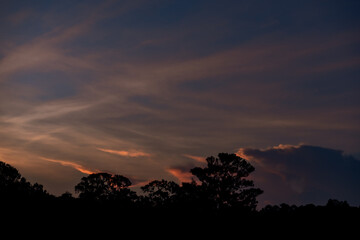 sunset over the trees