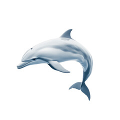 Obraz premium Dolphin object isolated on transparent png.