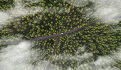 Aerial view of dark green forest road and white electric car Natural landscape and elevated roads Adventure travel and transportation and environmental protection concept