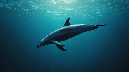 Ocean animals, dolphins and whales, deep blue sea, 3D illustration