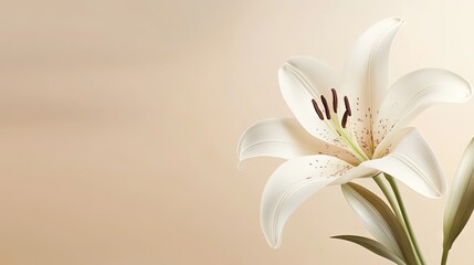 Obraz premium A realistic white lily with detailed petals, set against a neutral background with space for text on the right, ideal for elegant invitations.