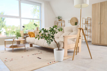 Blurred view of light living room with sofa, shelf units and closet