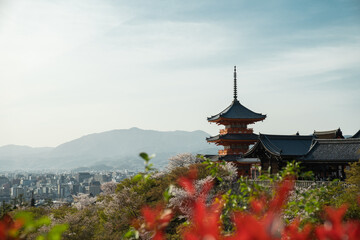 Japanese pagoda and old house in Kyoto at twilight