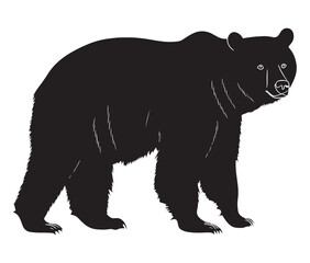 silhouette of bear vector illustration. polar bear vector
