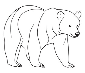 silhouette of bear vector illustration. polar bear vector