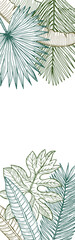 Obraz premium Tropical leaves banner. Botanical jungle flora print