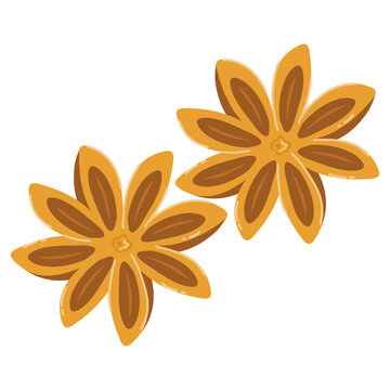 recommend clip art: Illustration of a Star Anise Spice