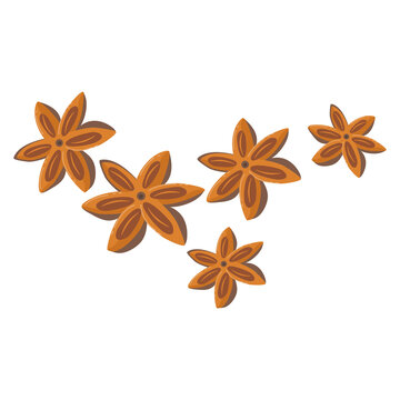 brown star anise spice arrangement clip art preview
