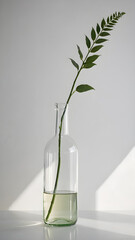 minimalist style with clean lines, a single green stem in a clear glass bottle 